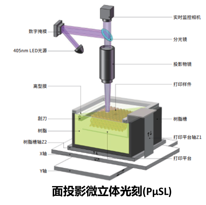 PμSL微尺度3D打印技术原理示意图