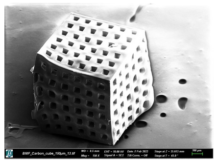 微尺度3D打印定制化支架在组织工程的应用