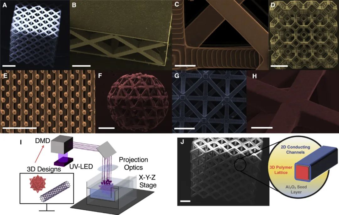 美国达特茅斯学院《Cell Rep. Phys. Sci.》：基于PμSL 3D打印的导电点阵结构用于多模态传感器