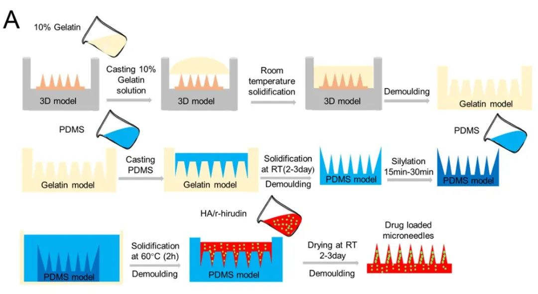 微针模具及 3DMN 制备流程图