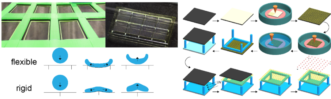 上海交大《ACS Applied Materials & Interfaces》：通过3D打印实现刚柔复合超疏水界面的制备