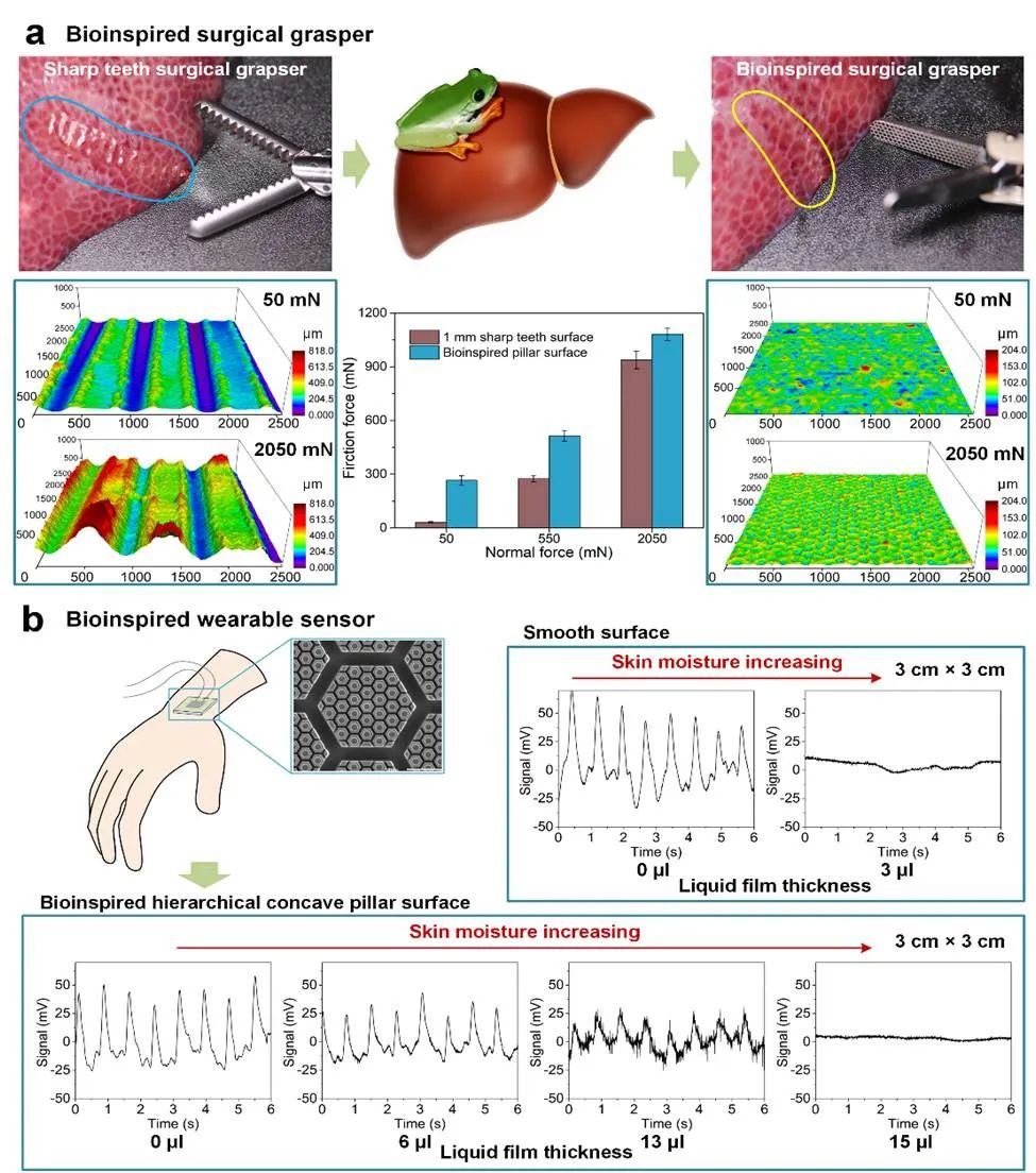 强湿摩擦仿生表面应用