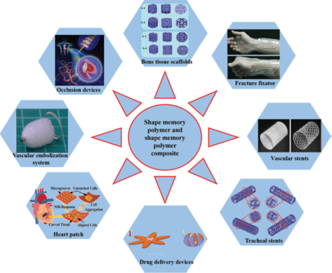 哈工大冷劲松院士团队：形状记忆聚合物和4D打印技术在生物医学领域的应用