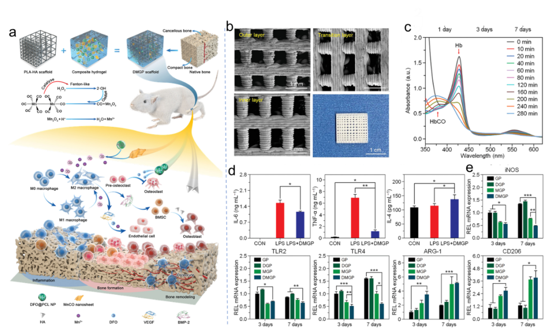 湖南大学朱伟、韩晓筱教授团队《Advanced Materials》综述:3D打印骨组织工程智能支架的研究进展-行业资讯-摩方精密BMF