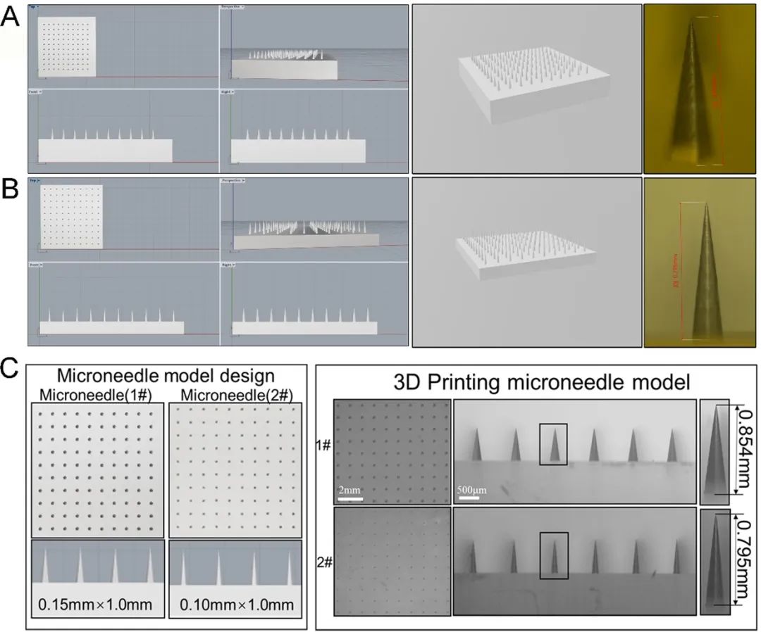 微针阵列模型的设计与3D打印
