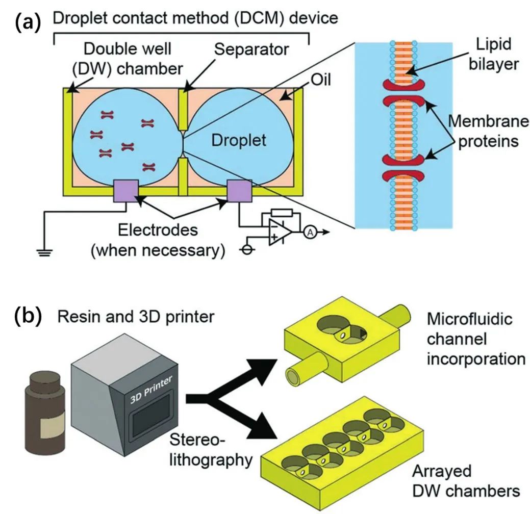 3D打印制作DCM微型器件