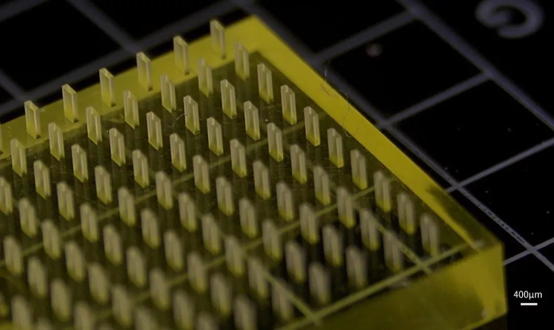 微尺度3D打印结合二次翻模形成的微柱在磁场作用下实现定向可控变形