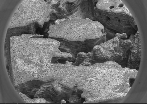 具有矿物涂层的3D打印岩石多孔结构