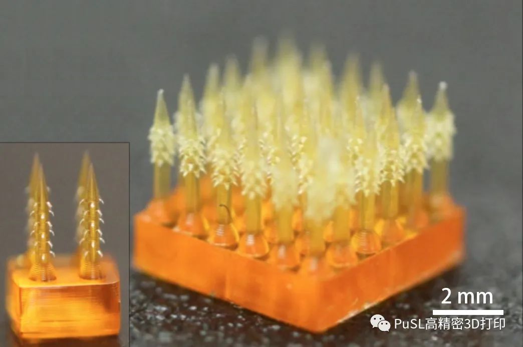 3D打印仿生微针