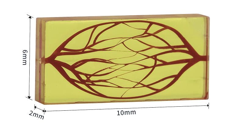 微流控3D打印-微流控样件