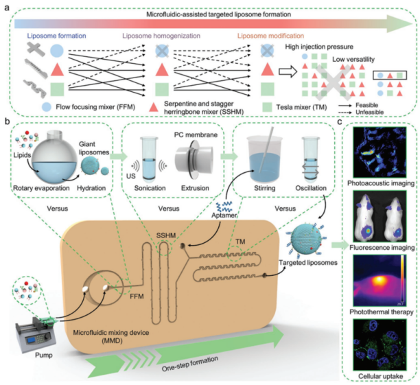 中南大学陈翔/赵爽/陈泽宇：微流控混合器件实现一步式构建靶向脂质体