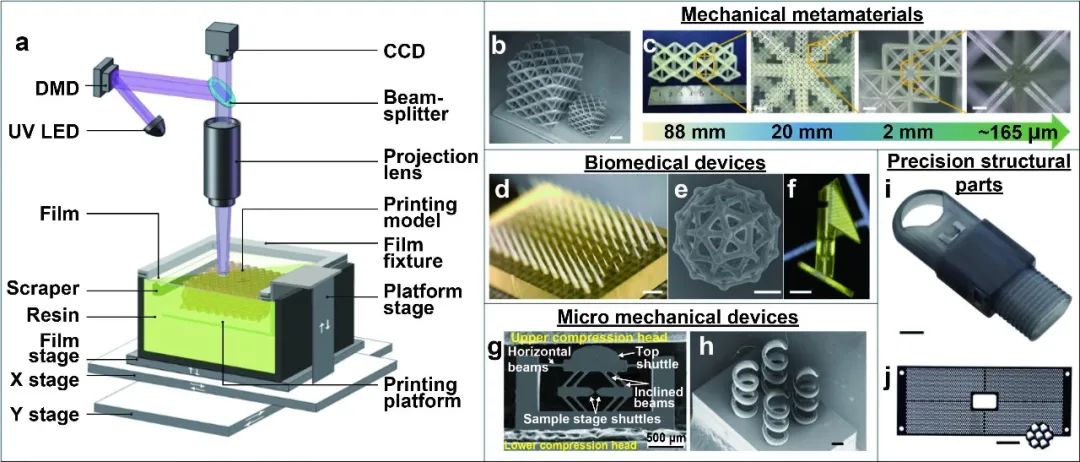 基于投影微立体光刻的3D打印技术及其应用-行业资讯-摩方精密BMF