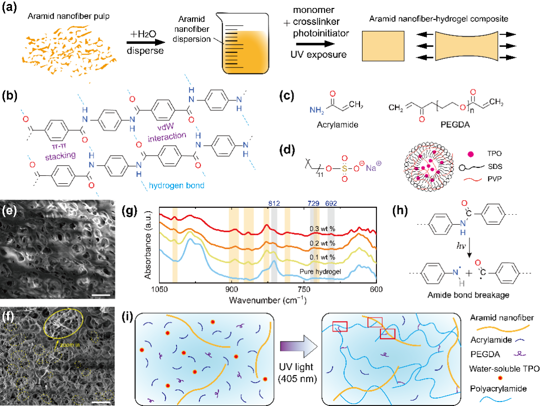 清华大学李晓雁课题组《Materials Today》: 芳纶纳米纤维增强的强韧、抗疲劳的可3D打印水凝胶