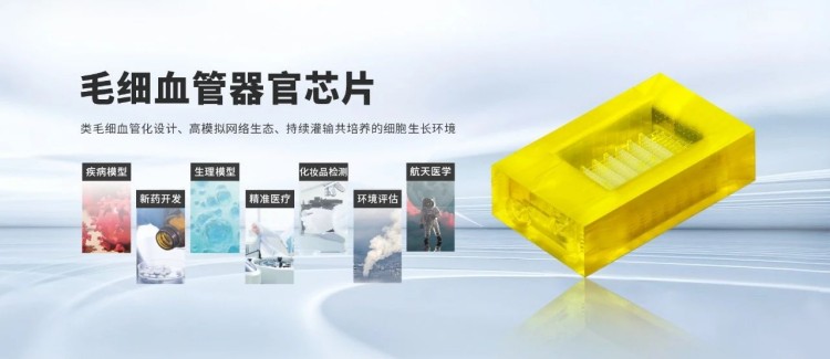 微信图片_20250521105548.jpg