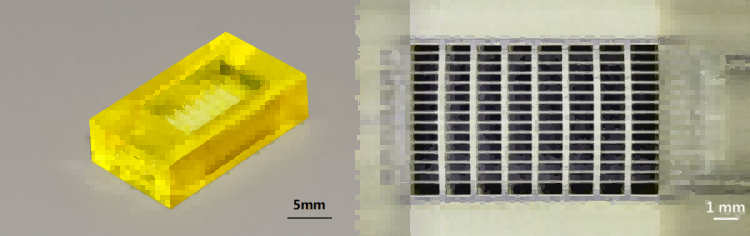 微信图片_20250521105554.png