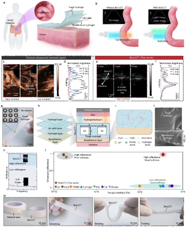 微信图片_2025-09-08_111903_436(2).png