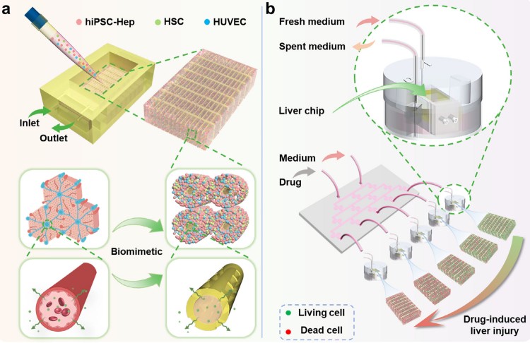 1762309684799631.jpg 微信图片_2025-11-05_100128_631.jpg