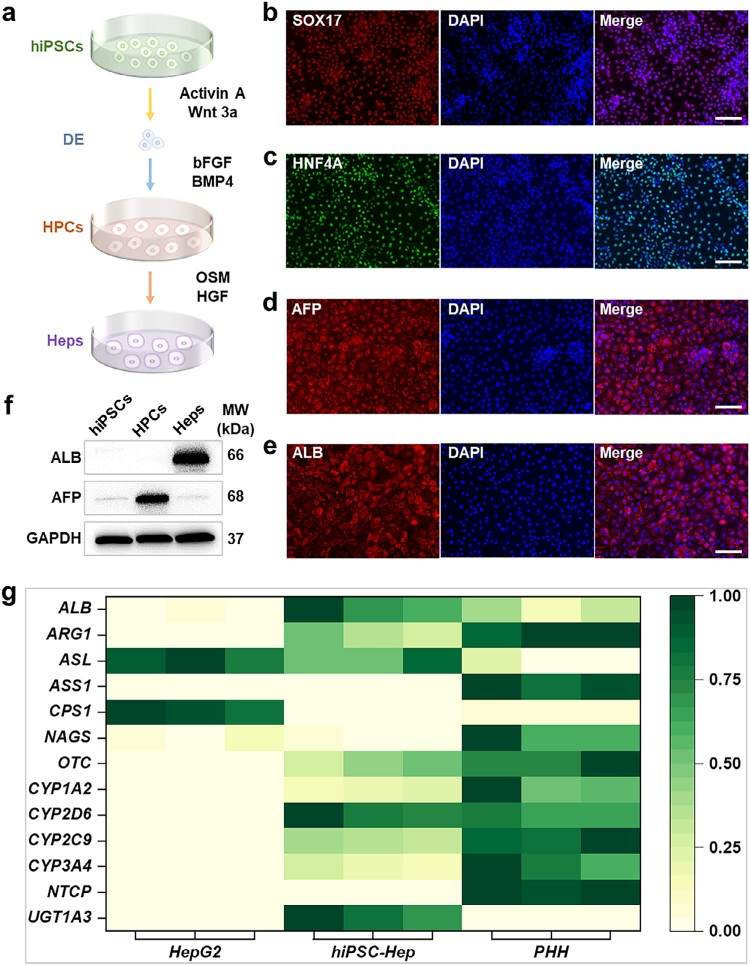 1762309966260754.jpg 微信图片_2025-11-05_100137_127.jpg