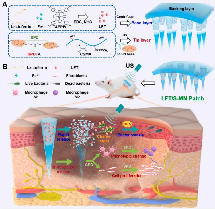 1764559750181131.jpg 微信图片_2025-12-01_112555_863.jpg