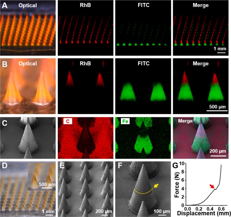 1764559767486430.jpg 微信图片_2025-12-01_112559_263.jpg