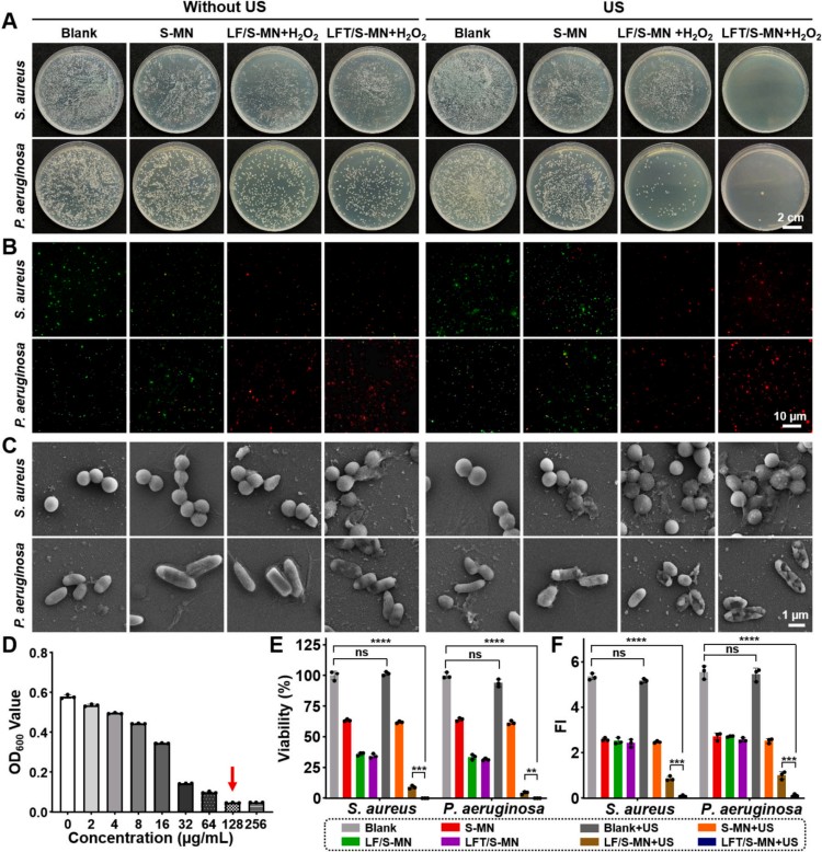 1764559796411327.jpg 微信图片_2025-12-01_112607_602.jpg