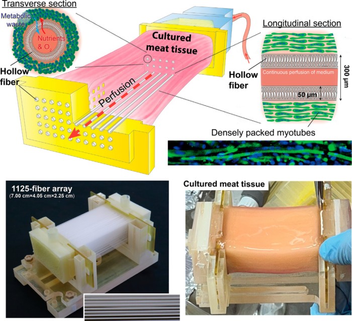 1773654331736451.jpg 微信图片_2026-03-16_174306_036.jpg